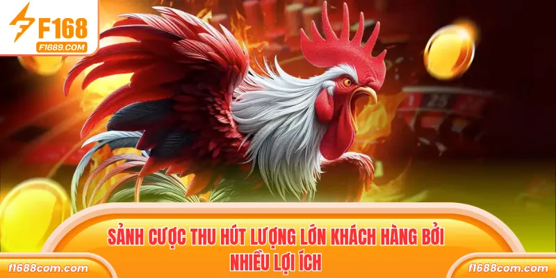 SV128 Đá Gà - Sảnh Giải Trí Xanh Chín, Nhiều Trận Đấu Hot 2 Sảnh cược thu hút lượng lớn khách hàng bởi nhiều lợi ích